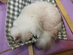 -极木²邸 人与宠物·互动社区