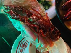-旺小胖小龙虾
