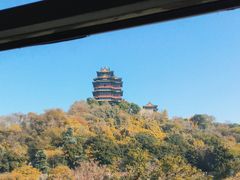-七欣天香辣蟹火锅(南京建宁路大观天地店)