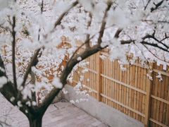 -三圣花乡旅游区