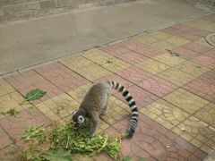 -石家庄市动物园