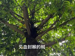 -广州神农草堂中医药博物馆