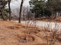 -北京西山国家森林公园