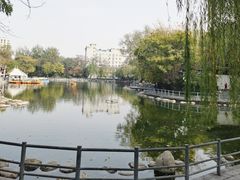 -莲湖公园