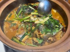 -九道菜有鸡鱼头(石鼓路店)