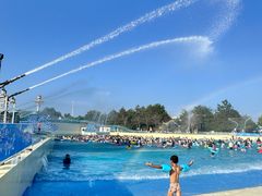 -秦皇岛乐岛海洋王国