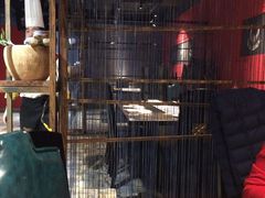 -湘汇概念铁板烧(铁西万达店)