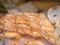 -昆明南亚风情园豪生大酒店The Riviera Cafe豪生咖啡厅
