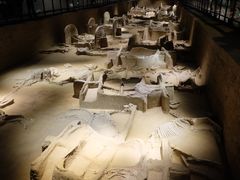 -洛阳周王城天子驾六博物馆