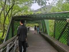 -西湖风景区-江洋畈生态公园