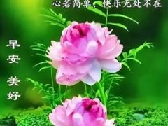 -和家宾馆(四季青店)