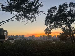 -梨泰院