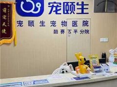 -宠颐生猫科·内科皮肤科(西平世纪城店)