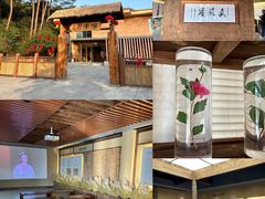 -广西壮族自治区药用植物园