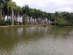 -南宁花花大世界景区