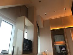 -上海柏悦酒店