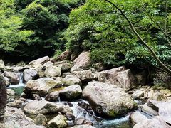 -百杖潭景区