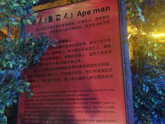-游龙石文化科普馆