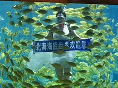 -北海海底世界