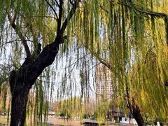 -堤角公园