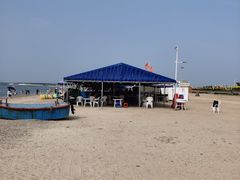 -长兴岛海滨公园
