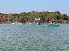 -昆山城市生态森林公园