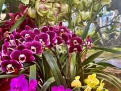 -国家植物园南园