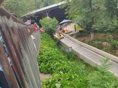 -十渡高山漂流