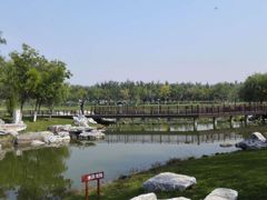 -武清南湖绿博园