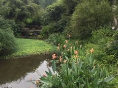 -龙头寺公园