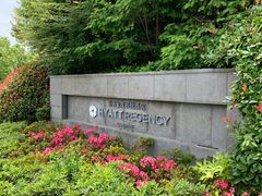 -上海崇明金茂凯悦酒店