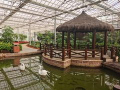 -上海鲜花港