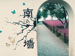 -汉长安城未央宫国家考古遗址公园