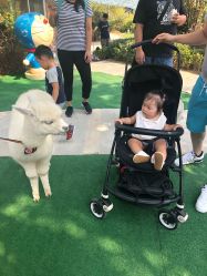 -萌宠亲子动物乐园(槐房万达店)