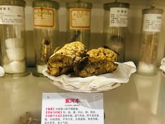 -广东中医药博物馆