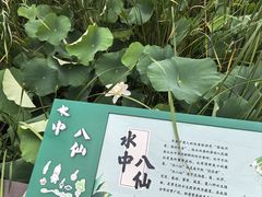 -梁鸿国家湿地公园