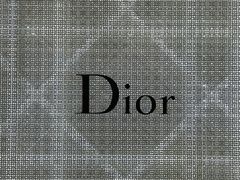 -Dior迪奥(国贸商城店)