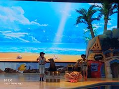 -三亚海昌梦幻海洋不夜城