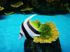 -厦门海底世界