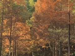 -泽雅景区