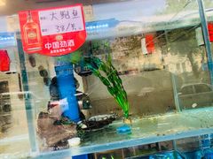 -富临港·蒸汽海鲜·手抓海鲜·炒菜(栈桥店)