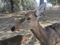 -常州淹城野生动物世界