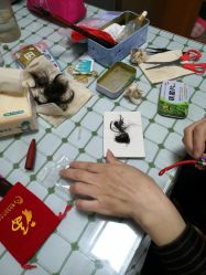 -禧婴婴儿理胎发·胎毛笔定制纪念品(新街口店)