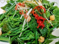 清香南瓜尖-巴依老爷新疆美食(远洋未来汇购物中心店)