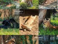 -杭州野生动物世界