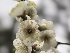 -宝岩生态观光园