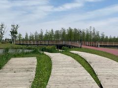 -春花秋色城市公园