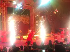 -珠海横琴长隆《卡卡虎奇遇记》