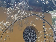 -西园戒幢律寺