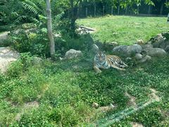 -西安秦岭野生动物园